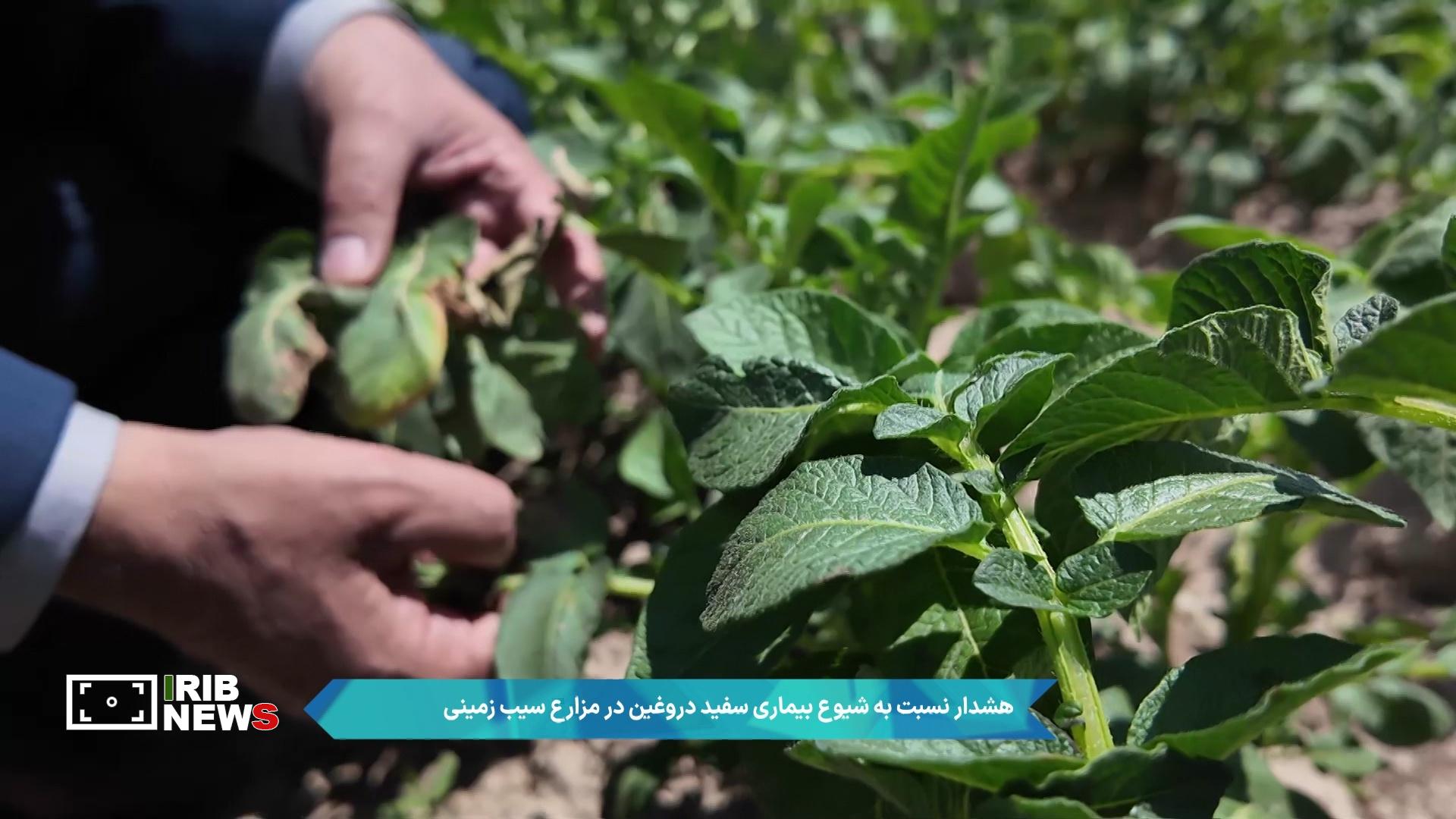 پیام آذری