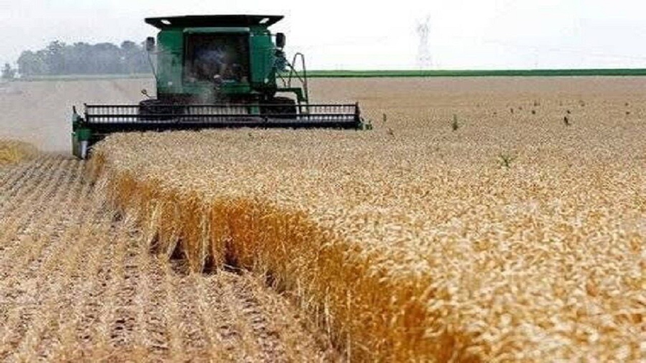 پیش‌بینی برداشت بیش از ۱۰ هزار تن جو در خداآفرین