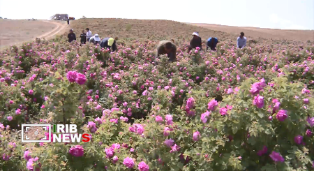 پیام آذری