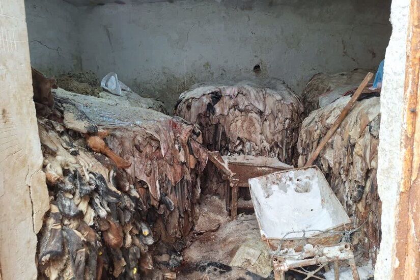 پیام آذری