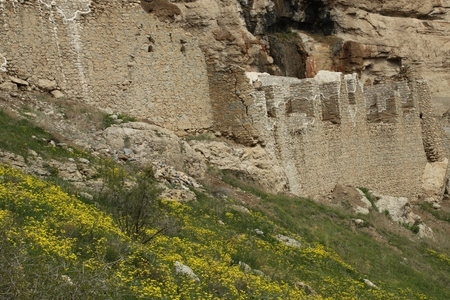 پیام آذری