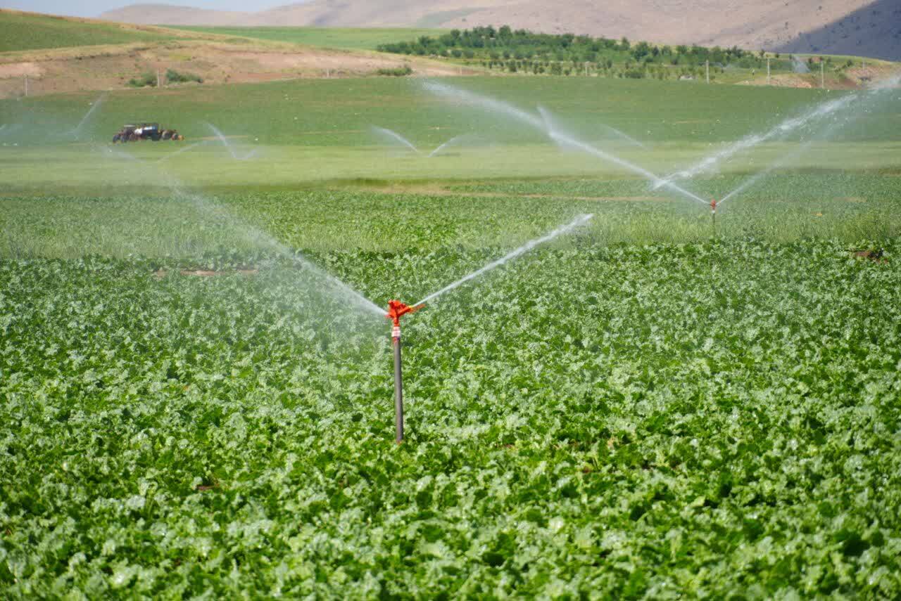 پیام آذری