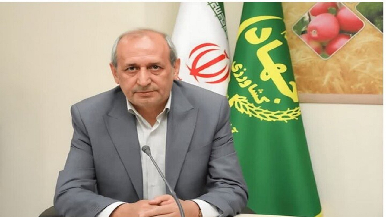گاو سرابی نماد توانمندی دامپروری بومی