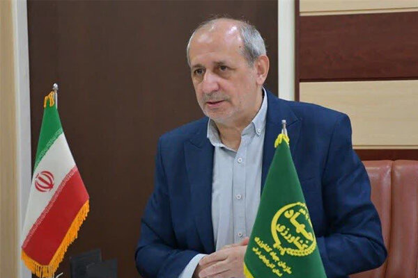شفیعی: گاو سرابی نماد توانمندی دامپروری بومی است