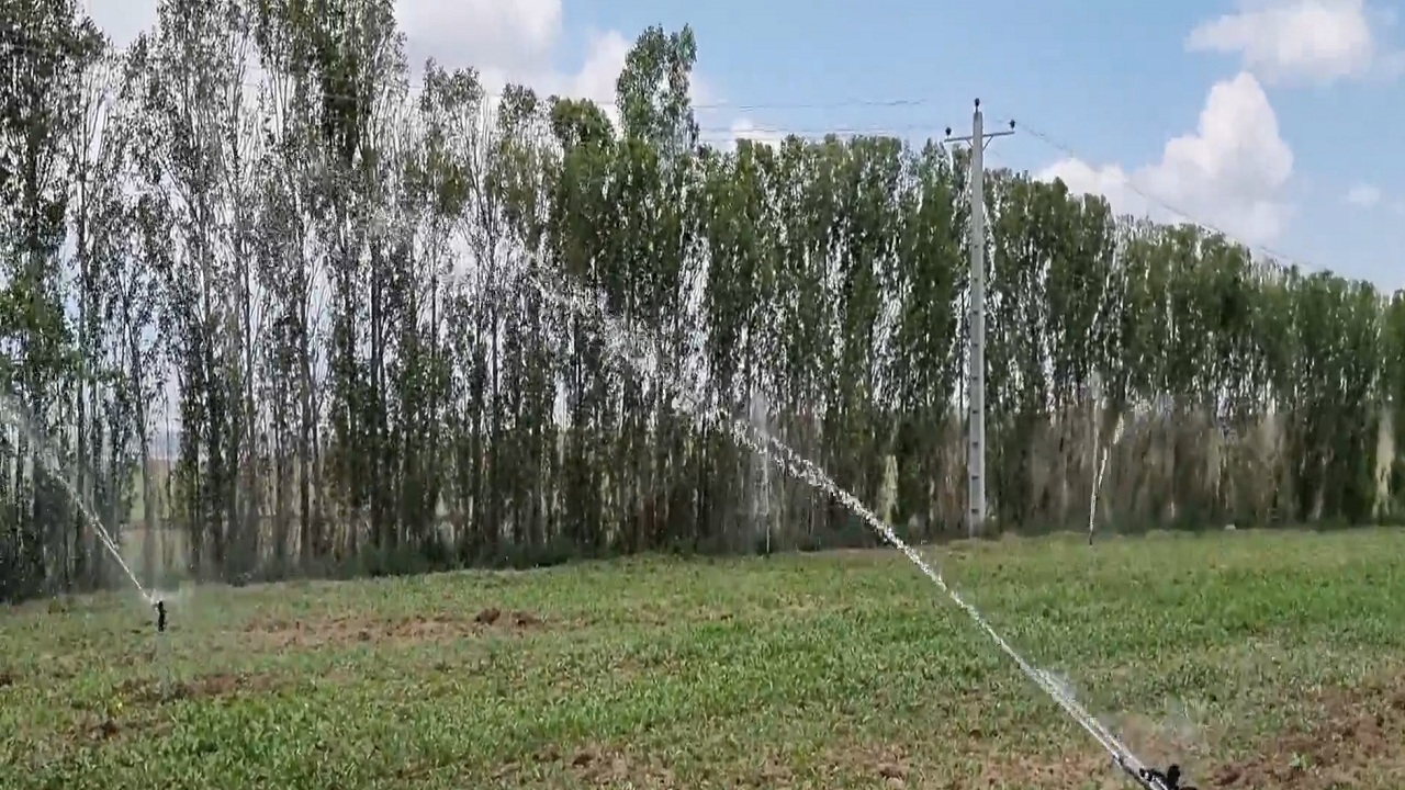 پیام آذری