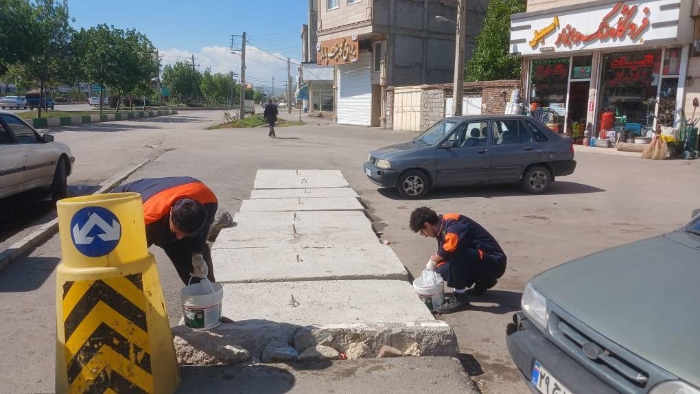 ضرورت همکاری شهروندان اردبیلی برای کنترل جمعیت موش ها