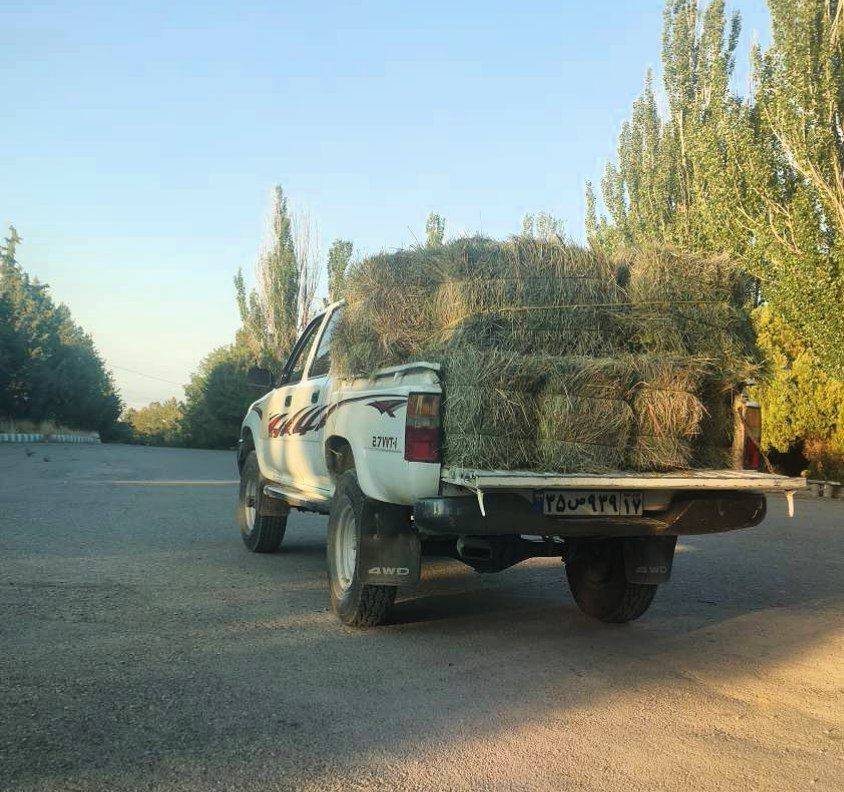 پیام آذری