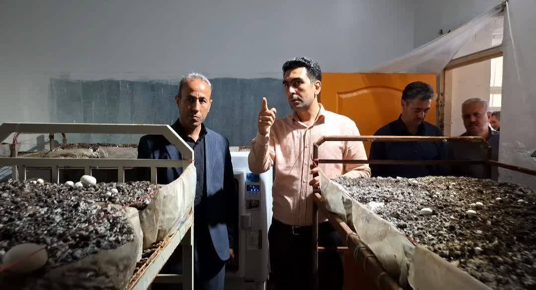 پیام آذری