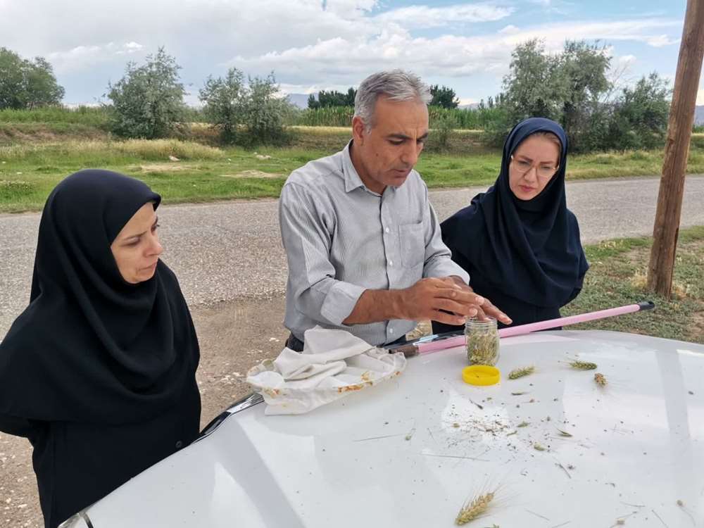 پیام آذری