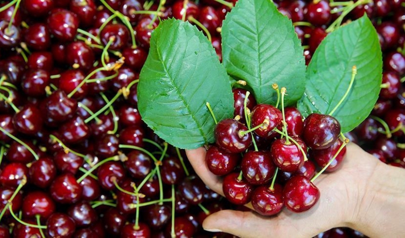 پیام آذری