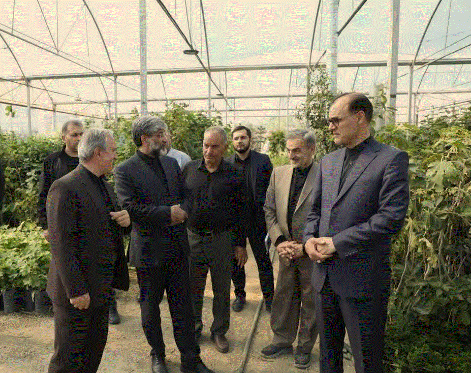 پیام آذری