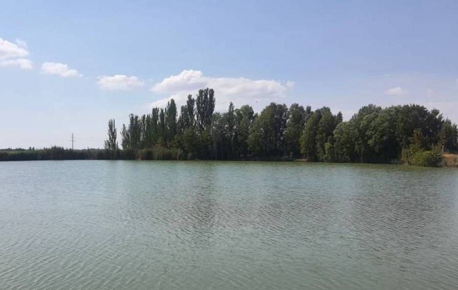 پیام آذری
