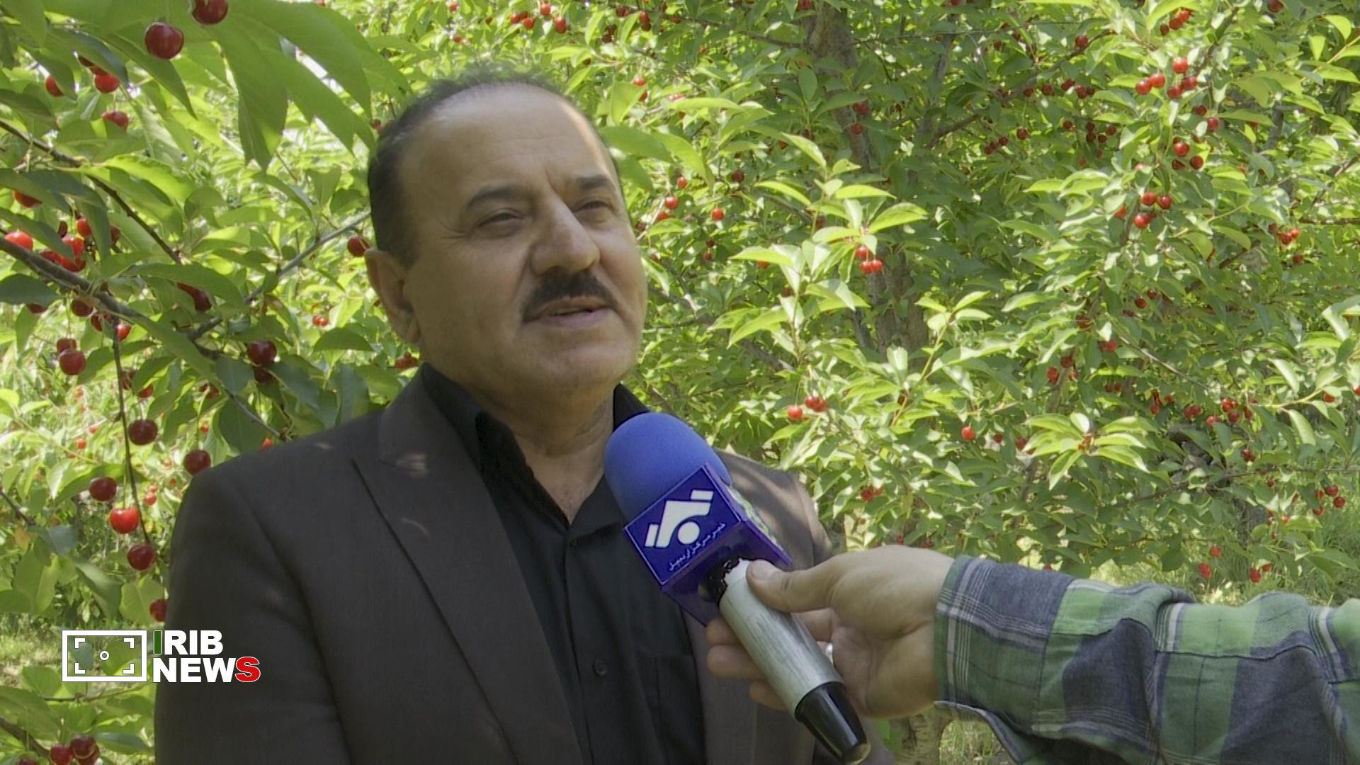 پیگیری توسعه صنایع تبدیلی میوه در اردبیل
