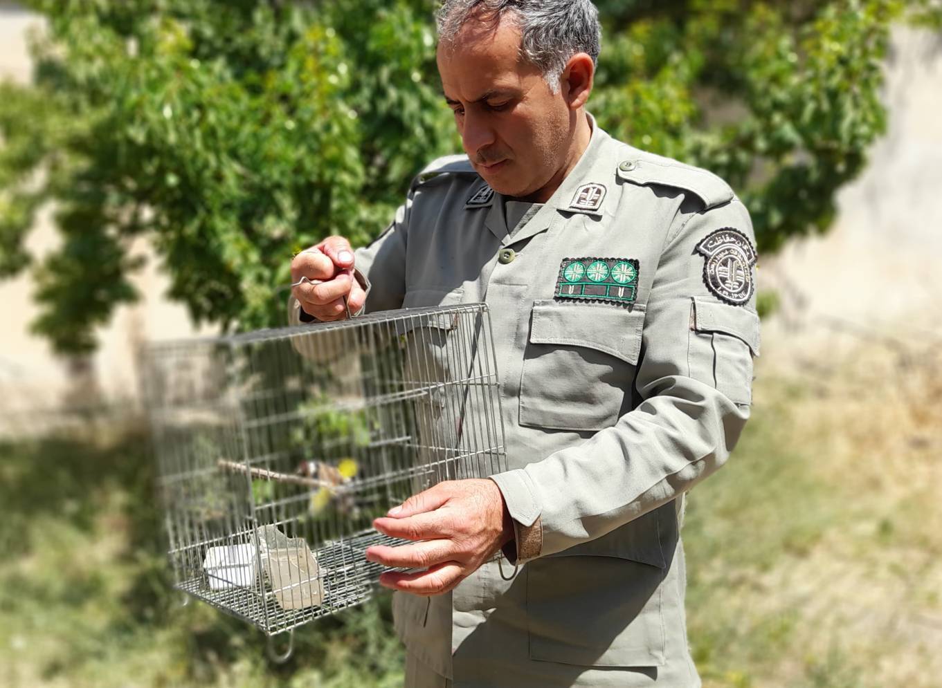 پیام آذری