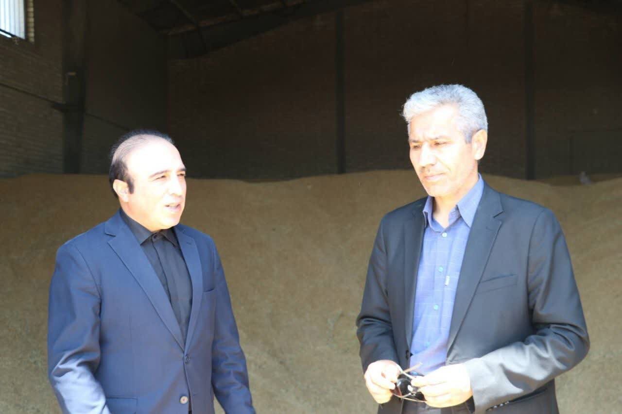 بیش از ۲۲۰هزار تن گندم در استان اردبیل خریداری شده است