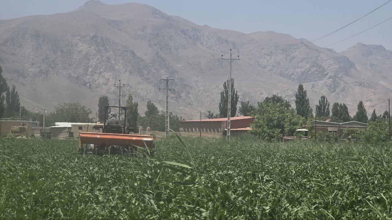 پیام آذری