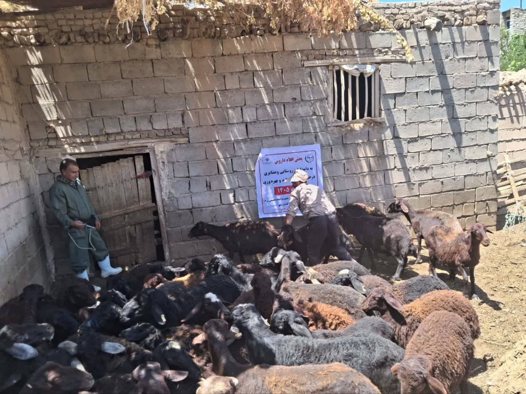 پیام آذری