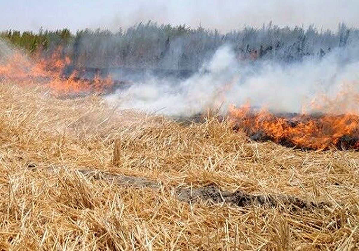 آتش سوزی  به جان دو هکتار از مزارع گندم باروق در جنوب آذربایجان غربی افتاد