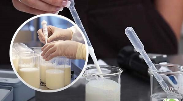 شناسایی تقلب در فرآورده‌های لبنی با استفاده از فناوری‌های مولکولی در اردبیل