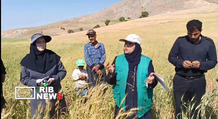 پیام آذری
