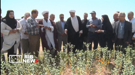 پیام آذری