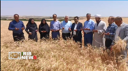 پیام آذری