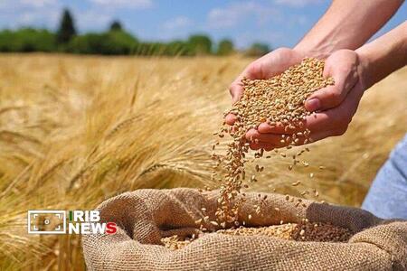 پیام آذری