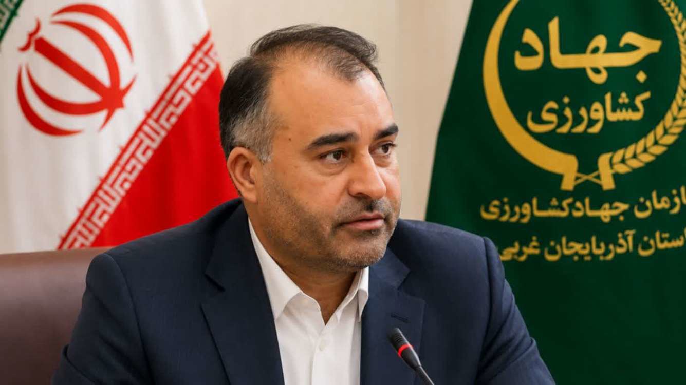 ثبت بیش از ۱۸ میلیون قطعه جوجه‌ریزی در آذربایجان غربی