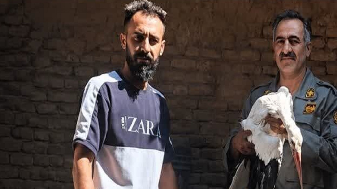 امداد رسانی به لک لک آسیب دیده در روستای سهلان تبریز