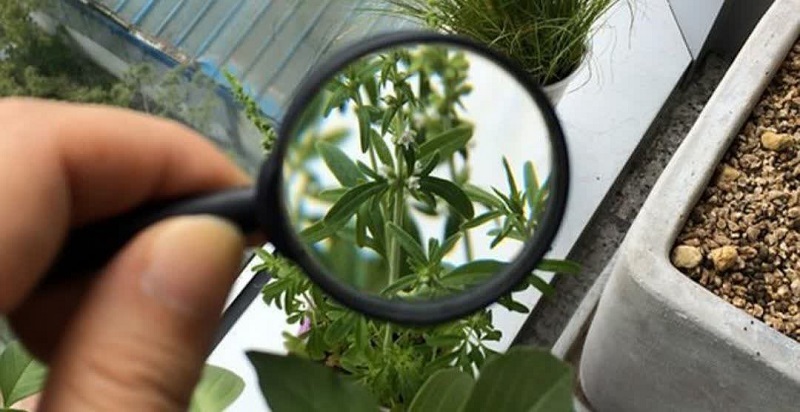 پیام آذری
