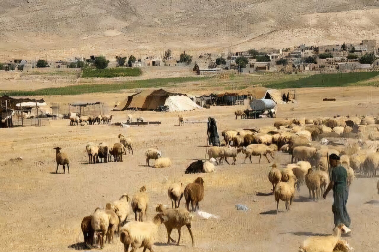 اهدای بیش از ۱۰۰ رأس گوسفند توسط عشایر مراغه در قالب زکات