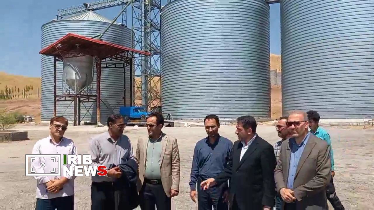 پرداخت ۲۳۰ میلیارد تومان مطالبات گندم‌کاران هشترود