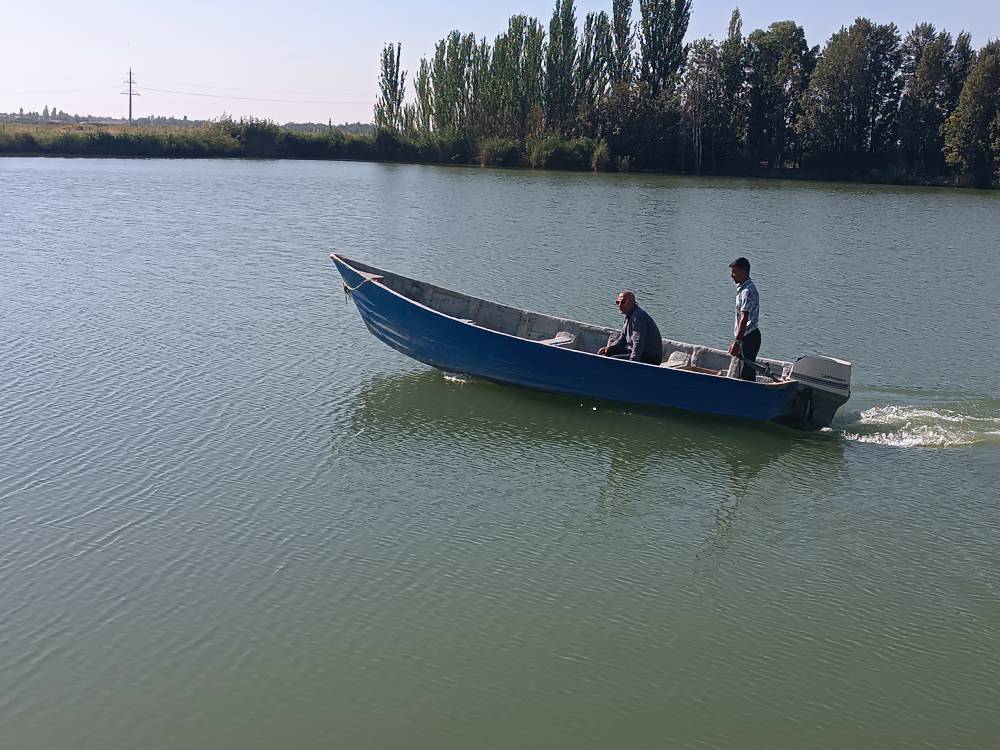 پیام آذری