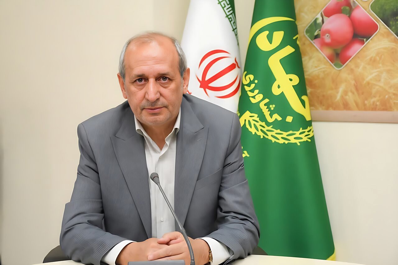 رشد ۱۱۳ درصدی تولید حبوبات در آذربایجان شرقی