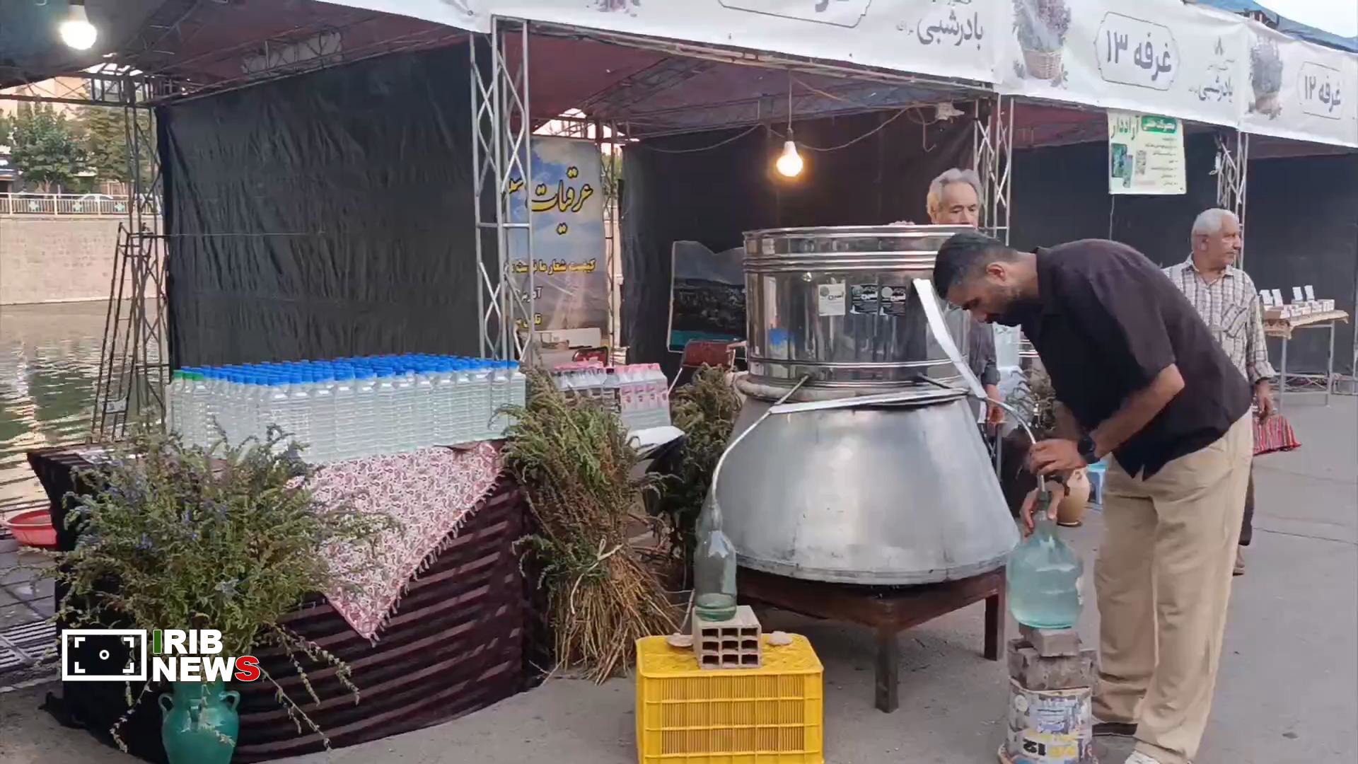 جشنواره خوش عطر بادرشبی در مراغه