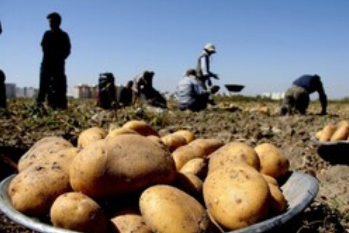پیام آذری