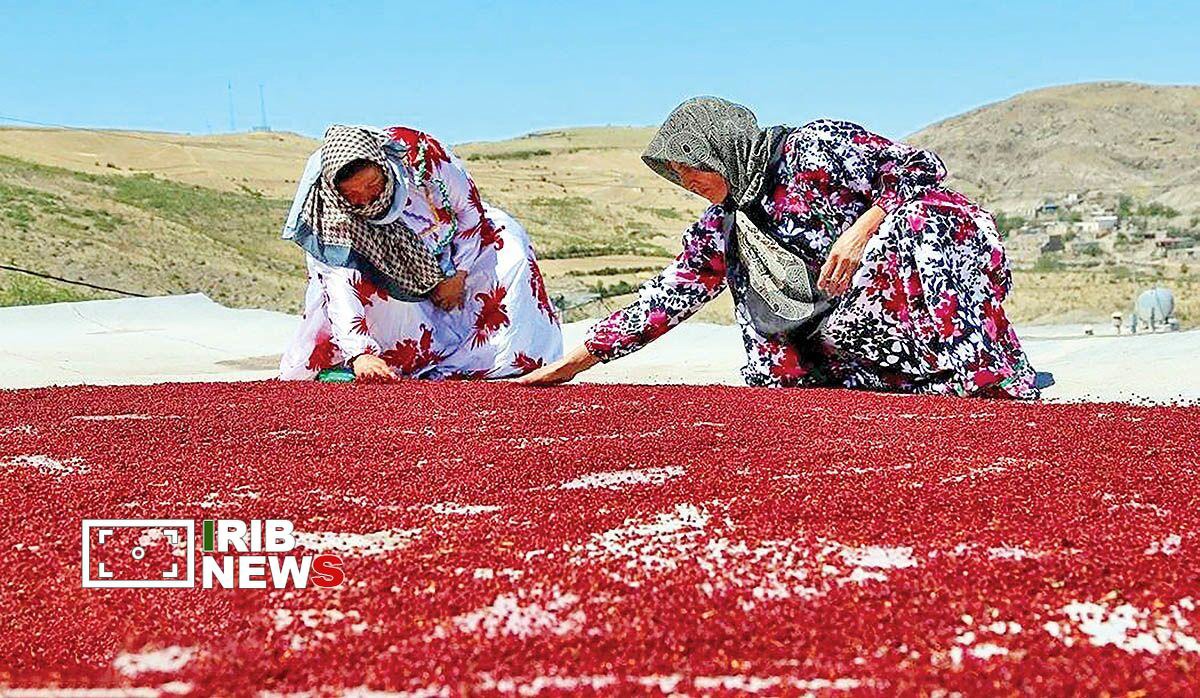 سماق هوراند آذربایجان شرقی در آستانه ثبت ملی