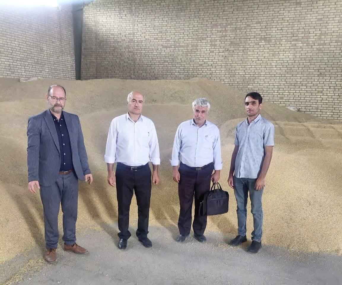 پایان عملیات خرید تضمینی گندم مازاد بر نیاز کشاورزان در بخش صفائیه خوی