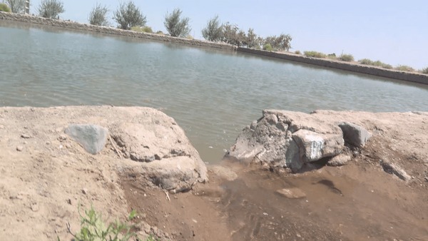 پیام آذری