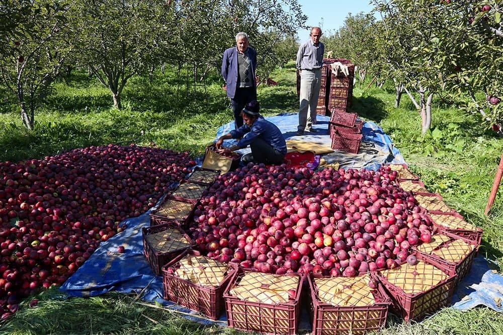 پیام آذری