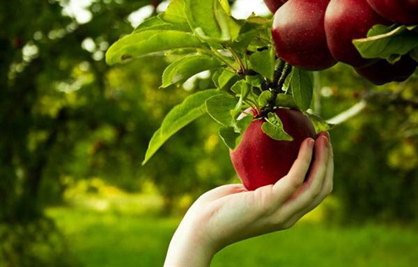پیام آذری