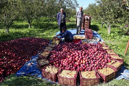 پیام آذری
