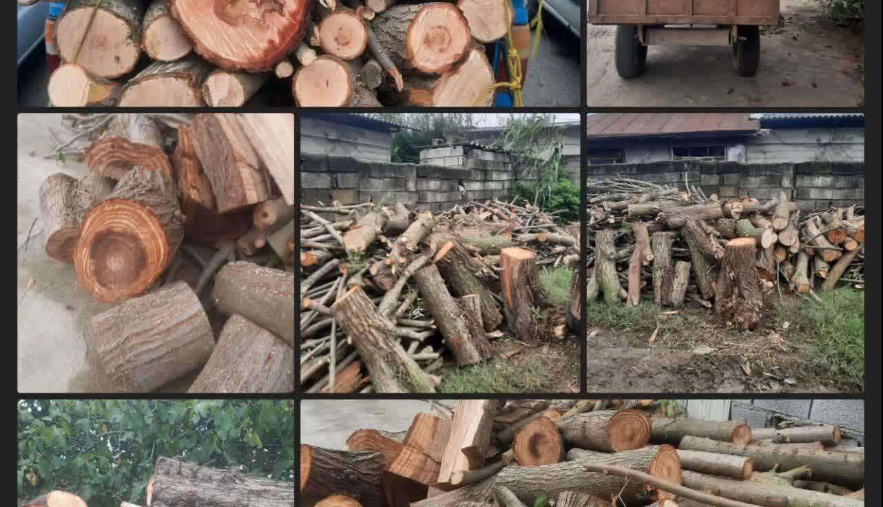 کشف ۱۰ تن چوب قاچاق در شهرستان جویبار