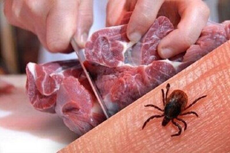 عامل ابتلا به تب کریمه کنگو در یزد کشتار غیرمجاز دام است؛ برخورد با مراکز غیرقانونی عرضه