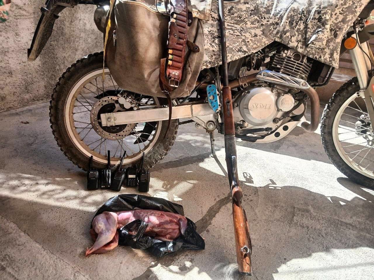 برخورد با شکار شبانه خرگوش در اشنویه