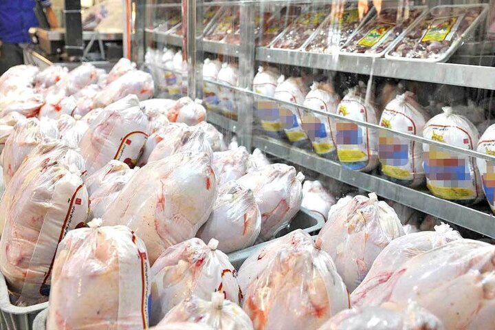 ظرفیت تولید مرغ آذربایجان‌غربی دو برابر نیاز استان است