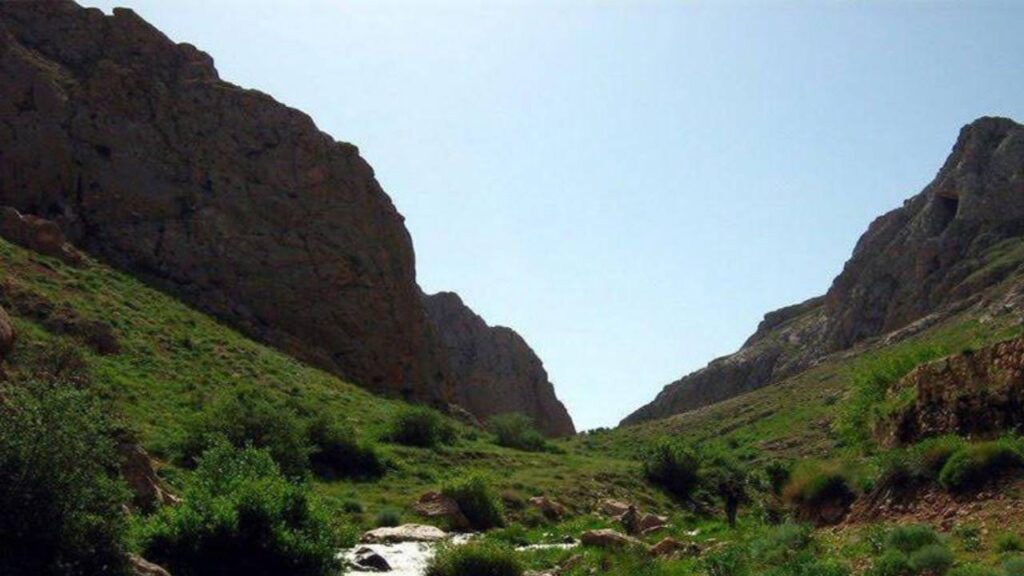 زیستگاه ازناو خلخال به پناهگاه حیات وحش تبدیل می‌شود