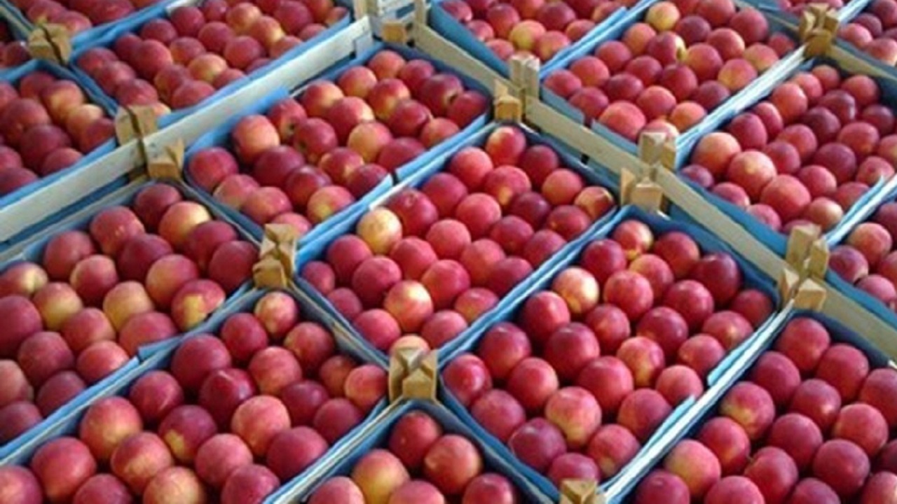پیام آذری