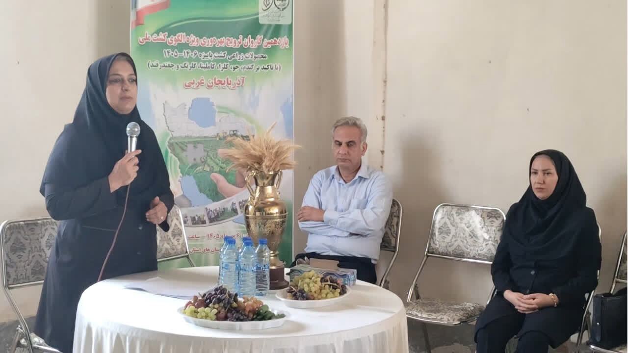 اجرای یازدهمین کاروان ترویج بهره‌وری الگوی کشت پاییزه در آذربایجان‌غربی