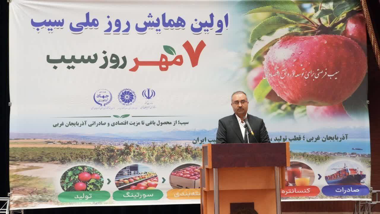 تولید سالانه بیش از یک میلیون و ۴۰۰ هزار تن سیب در آذربایجان غربی